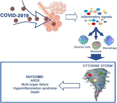 Cytokine Storm in COVID-19: “When You Come Out of the Storm, You Won’t Be the Same Person Who Walked in”